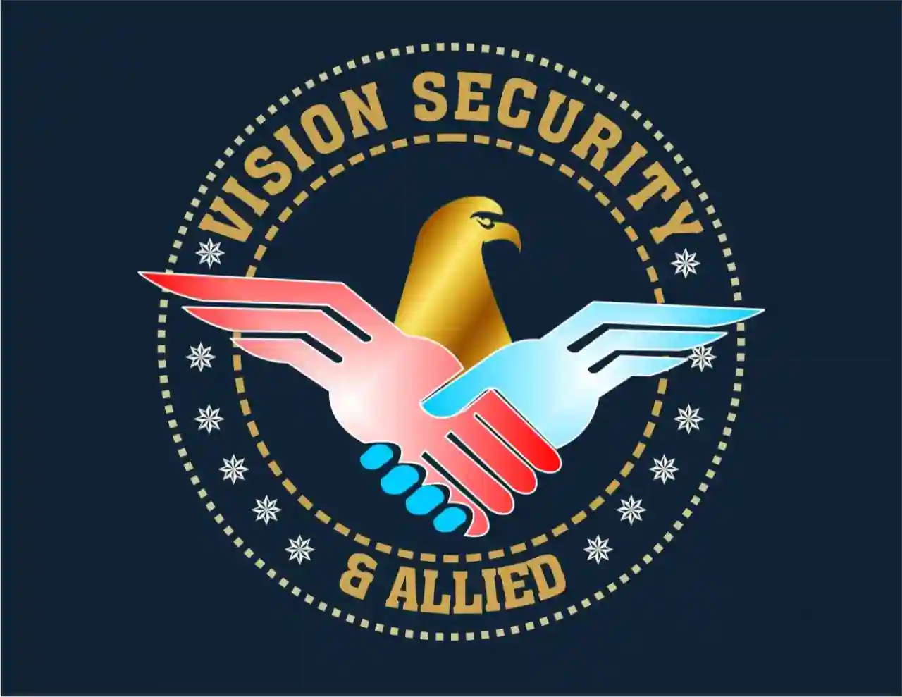 Vision Security & Allied